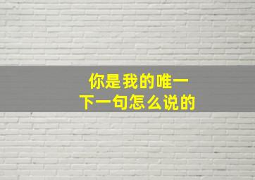 你是我的唯一下一句怎么说的