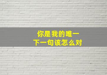 你是我的唯一下一句该怎么对