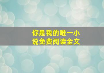 你是我的唯一小说免费阅读全文