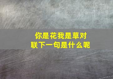 你是花我是草对联下一句是什么呢