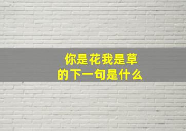 你是花我是草的下一句是什么