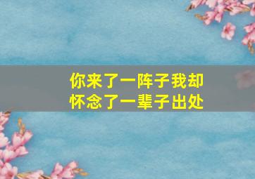 你来了一阵子我却怀念了一辈子出处