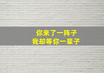 你来了一阵子我却等你一辈子