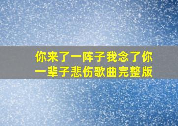 你来了一阵子我念了你一辈子悲伤歌曲完整版