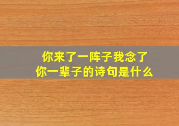 你来了一阵子我念了你一辈子的诗句是什么