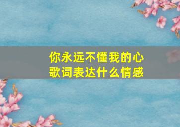 你永远不懂我的心歌词表达什么情感