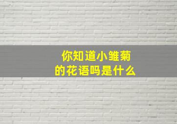 你知道小雏菊的花语吗是什么