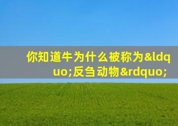 你知道牛为什么被称为“反刍动物”