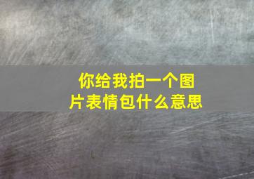 你给我拍一个图片表情包什么意思