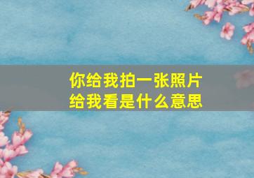 你给我拍一张照片给我看是什么意思