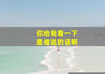 你给我看一下是谁说的话啊