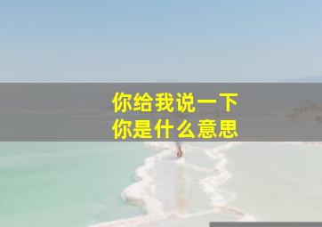 你给我说一下你是什么意思