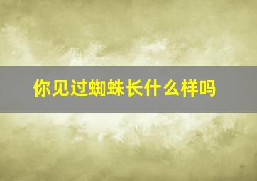 你见过蜘蛛长什么样吗