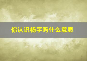 你认识杨宇吗什么意思