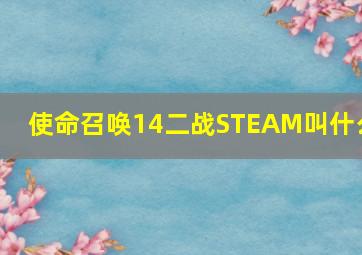 使命召唤14二战STEAM叫什么