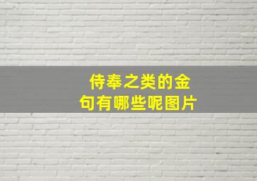 侍奉之类的金句有哪些呢图片