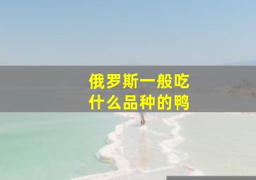 俄罗斯一般吃什么品种的鸭