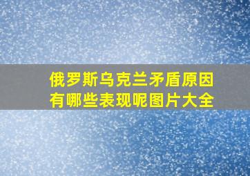 俄罗斯乌克兰矛盾原因有哪些表现呢图片大全