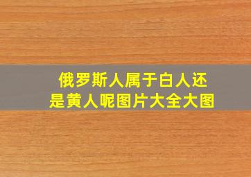 俄罗斯人属于白人还是黄人呢图片大全大图