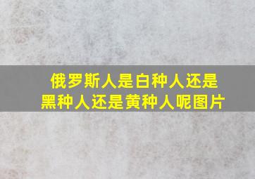 俄罗斯人是白种人还是黑种人还是黄种人呢图片