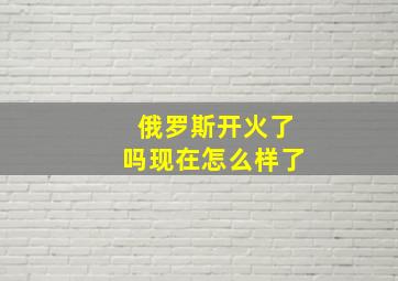 俄罗斯开火了吗现在怎么样了