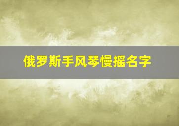 俄罗斯手风琴慢摇名字