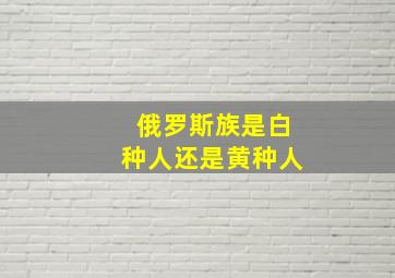 俄罗斯族是白种人还是黄种人