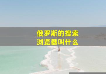 俄罗斯的搜索浏览器叫什么