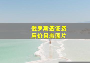 俄罗斯签证费用价目表图片