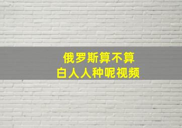 俄罗斯算不算白人人种呢视频