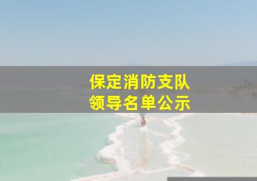 保定消防支队领导名单公示