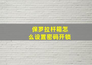 保罗拉杆箱怎么设置密码开锁