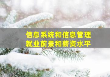 信息系统和信息管理就业前景和薪资水平