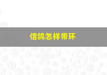 信鸽怎样带环