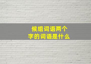 候组词语两个字的词语是什么