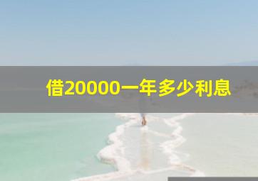 借20000一年多少利息