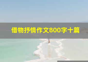 借物抒情作文800字十篇