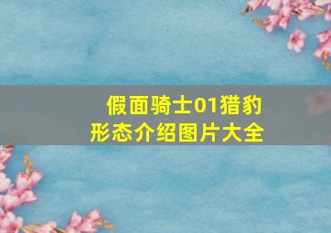 假面骑士01猎豹形态介绍图片大全