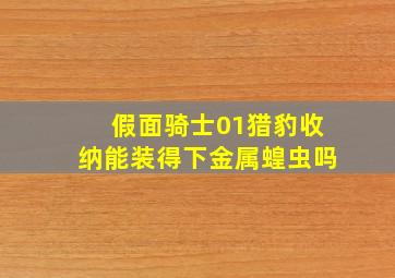 假面骑士01猎豹收纳能装得下金属蝗虫吗