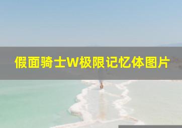 假面骑士W极限记忆体图片