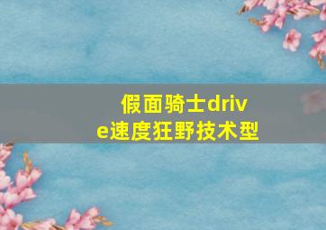 假面骑士drive速度狂野技术型