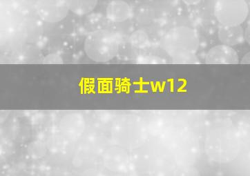 假面骑士w12