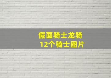 假面骑士龙骑12个骑士图片