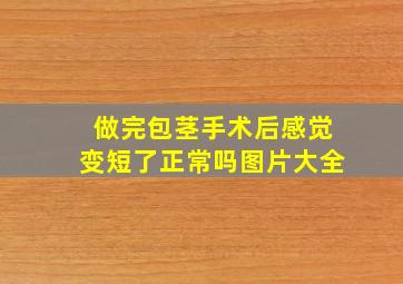 做完包茎手术后感觉变短了正常吗图片大全