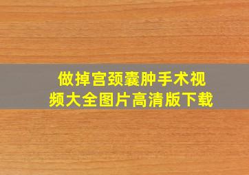 做掉宫颈囊肿手术视频大全图片高清版下载