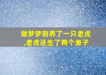 做梦梦到养了一只老虎,老虎还生了两个崽子