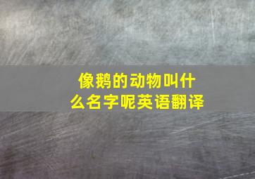 像鹅的动物叫什么名字呢英语翻译