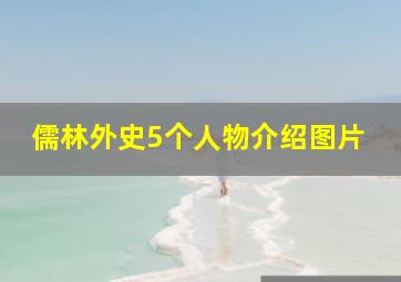 儒林外史5个人物介绍图片