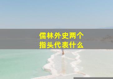 儒林外史两个指头代表什么