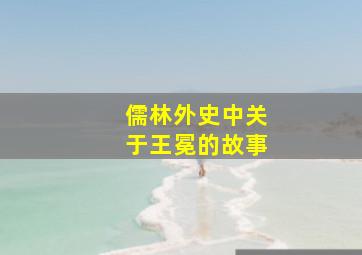 儒林外史中关于王冕的故事